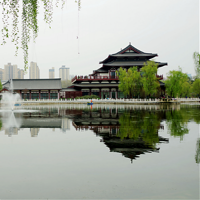 西安兴庆公园要门票吗？怎么坐车去？ 图1
